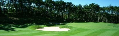 �A�R�[�f�B�A�S���t�̐l�C